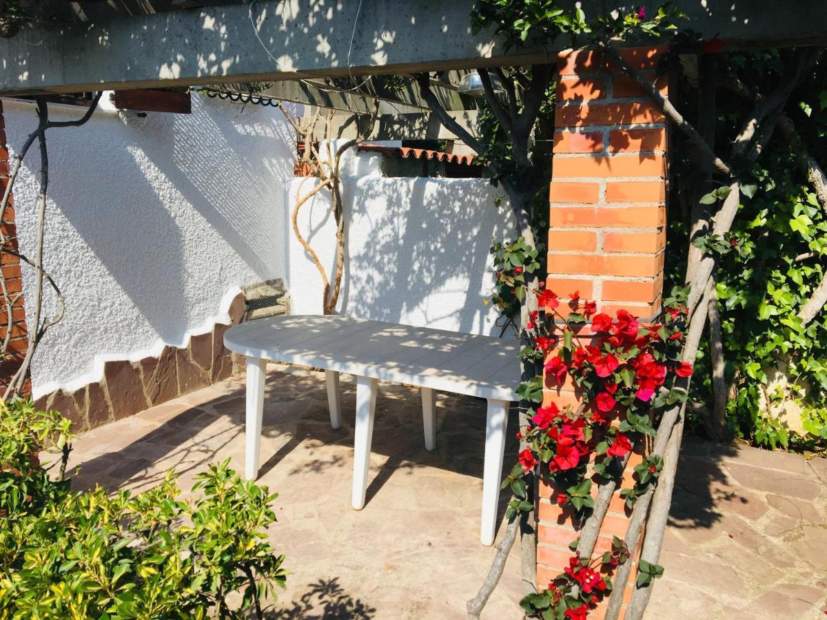 Apartamentos Tres Playas Altamar Alcossebre エクステリア 写真