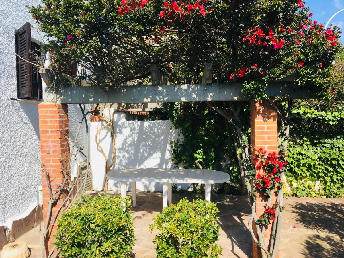 Apartamentos Tres Playas Altamar Alcossebre エクステリア 写真